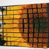 Disintegration of Sunflower - Image 2
