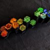 Rainbow Nature #15 - Image 3